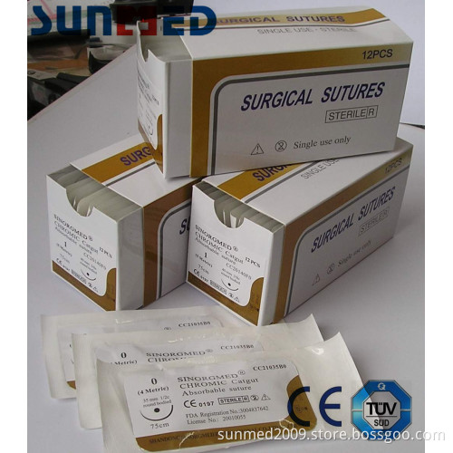 Chromic Catgut Suture